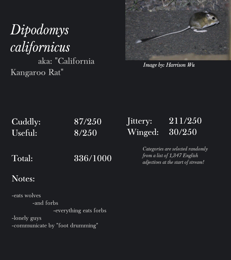 Dipodomys californicus